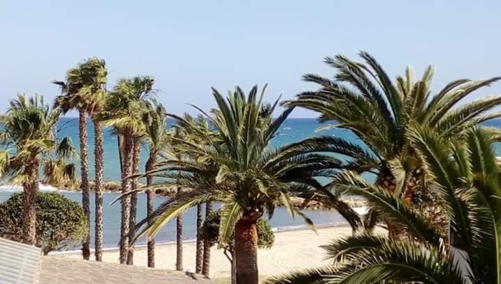 een groep palmbomen op een zandstrand bij Casa La Luna Cambrils in Cambrils