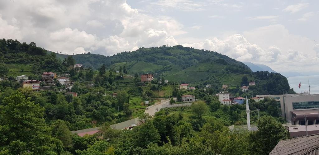 Příroda nedaleko hotelu