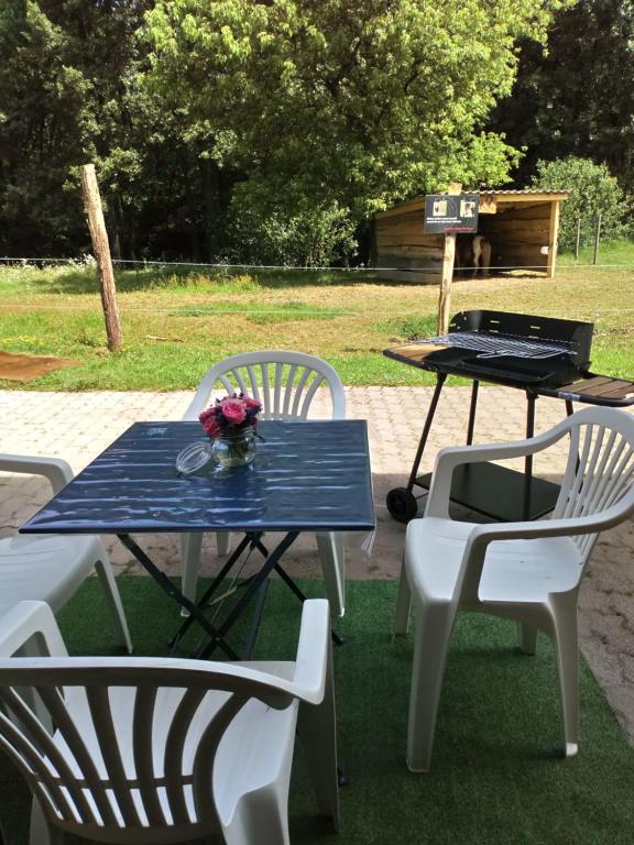 een picknicktafel met 2 stoelen en een tafel met een grill bij gîte des Hortensias in Raon-aux-Bois