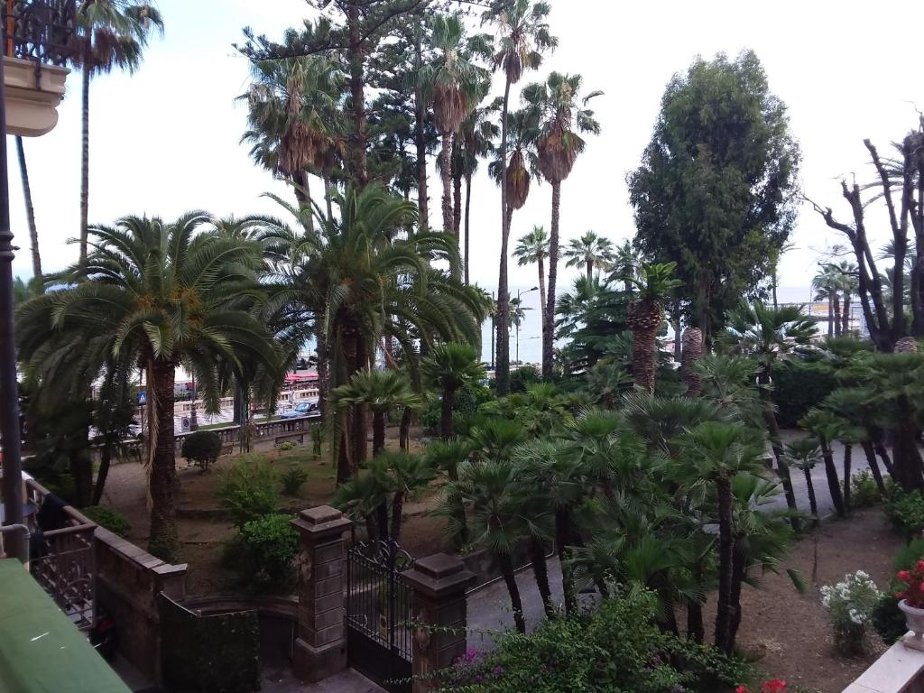 - une vue sur un parc planté de palmiers dans l'établissement Zona chiesa russa, à Sanremo