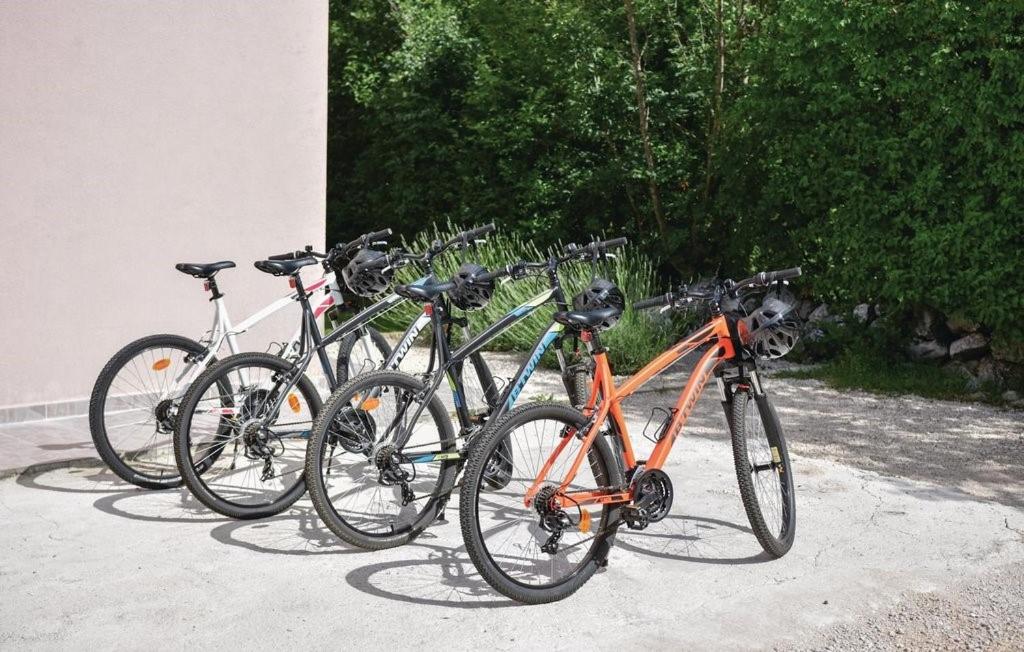 Jazda na bicykli v okolí ubytovania Villa Radosevic near Split, heated pool