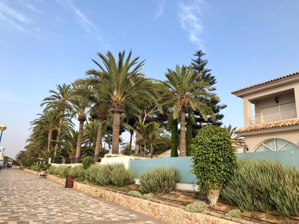 Villas Don Quijote, Punta Prima, Spain - Booking.com