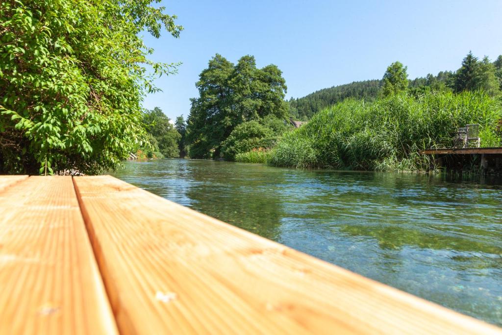 Príroda v okolí apartmánu