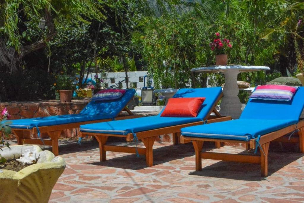 Vieri apartments - Apartment With Pool View
