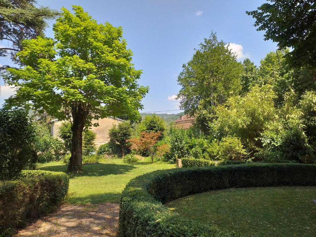 einen Garten mit Hecken und einem Baum auf einem Feld in der Unterkunft Le Jardin Secret in Saint-Antonin