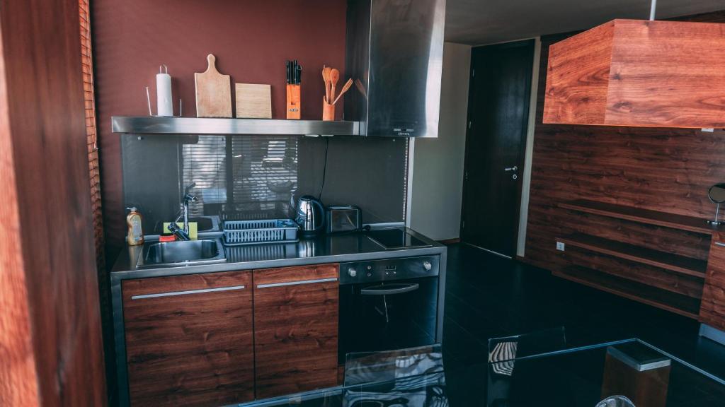 A kitchen or kitchenette at Design Hotel Logatero