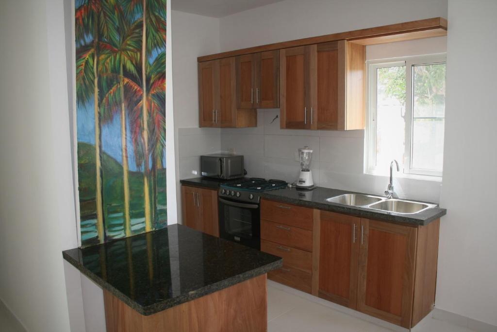 Kuchyň nebo kuchyňský kout v ubytování Villa Deluxe Costambar