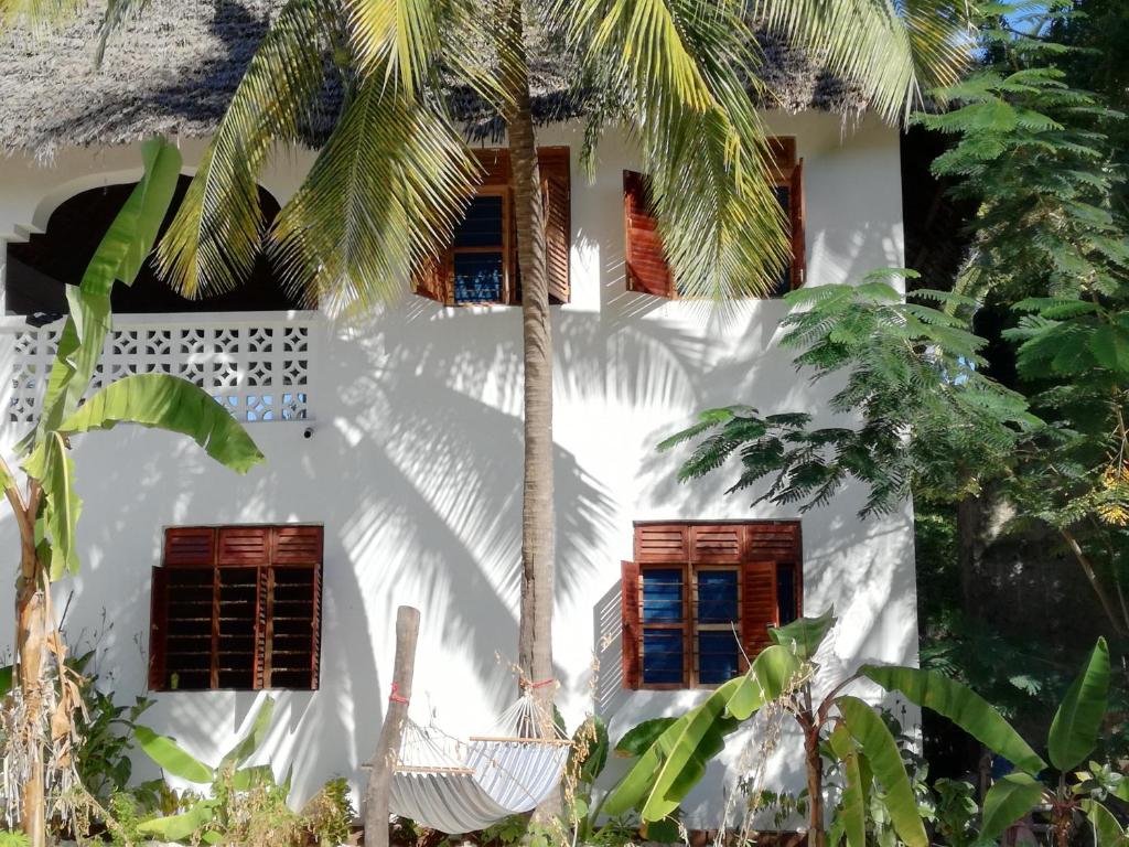 江比阿尼的住宿－Furaha Lodge，一间白色的房子,设有窗户和棕榈树