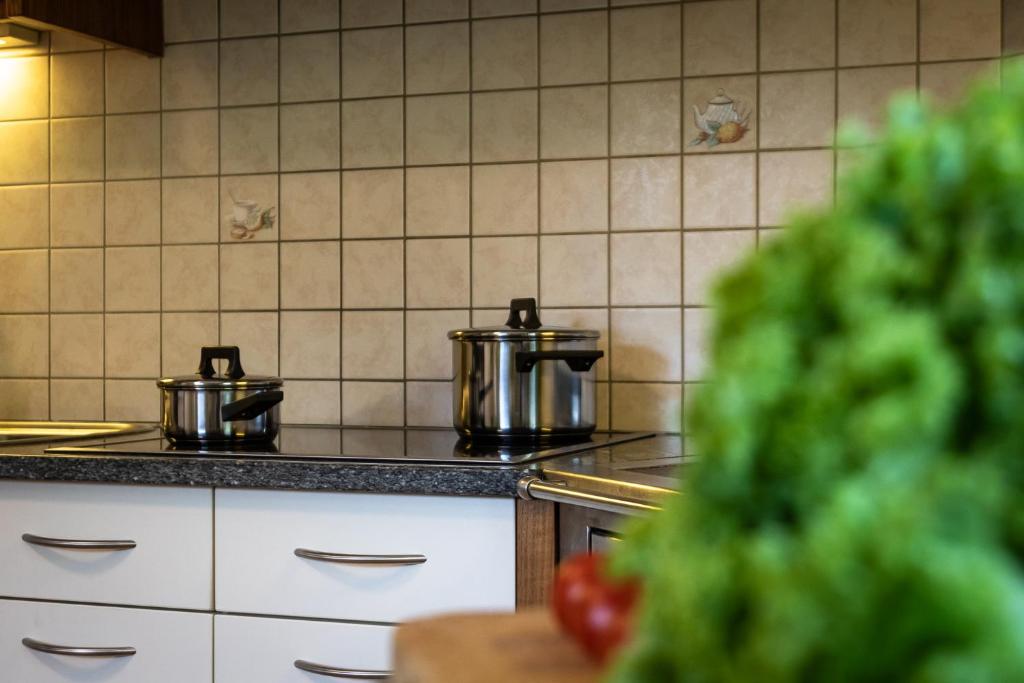 Kuchyňa alebo kuchynka v ubytovaní Ciasa MAEL Dolomites Apartments