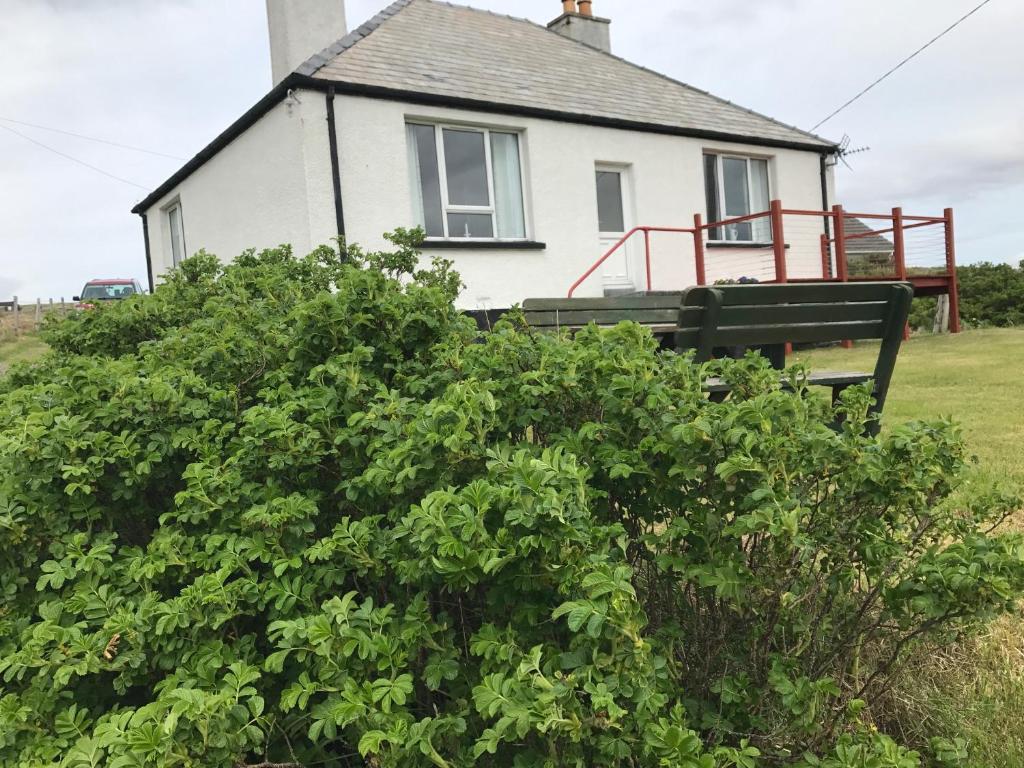 uma casa com um banco em frente a um arbusto em Tigh-na-Greine em Carloway