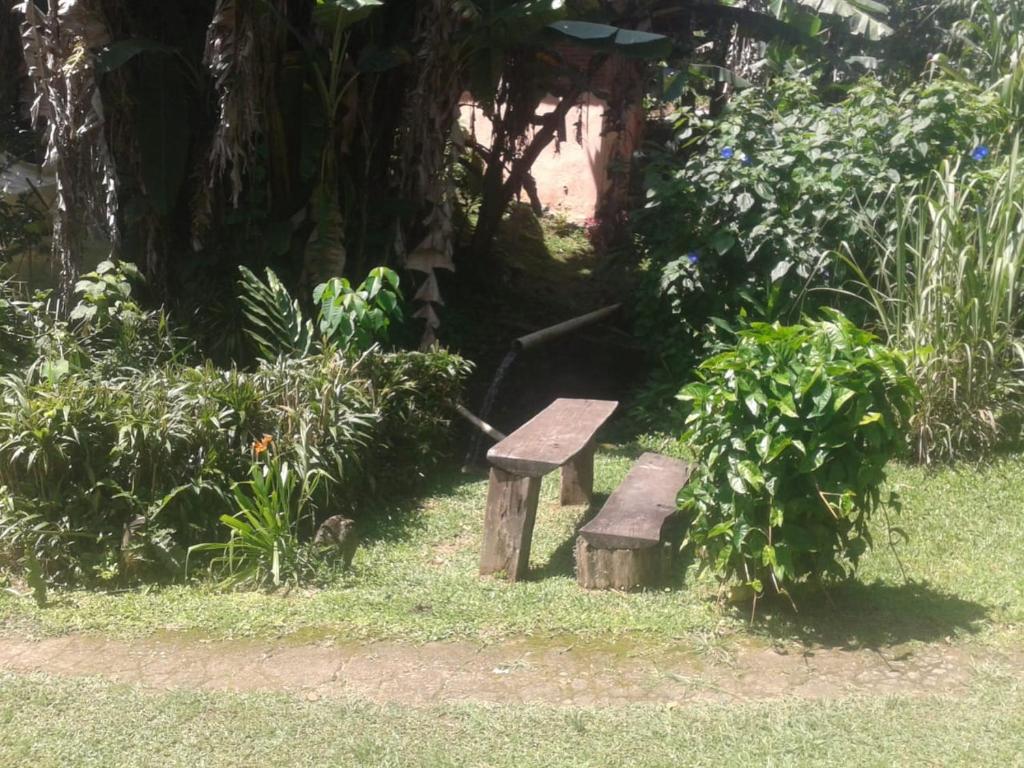  Sítio Quinhão Genciana