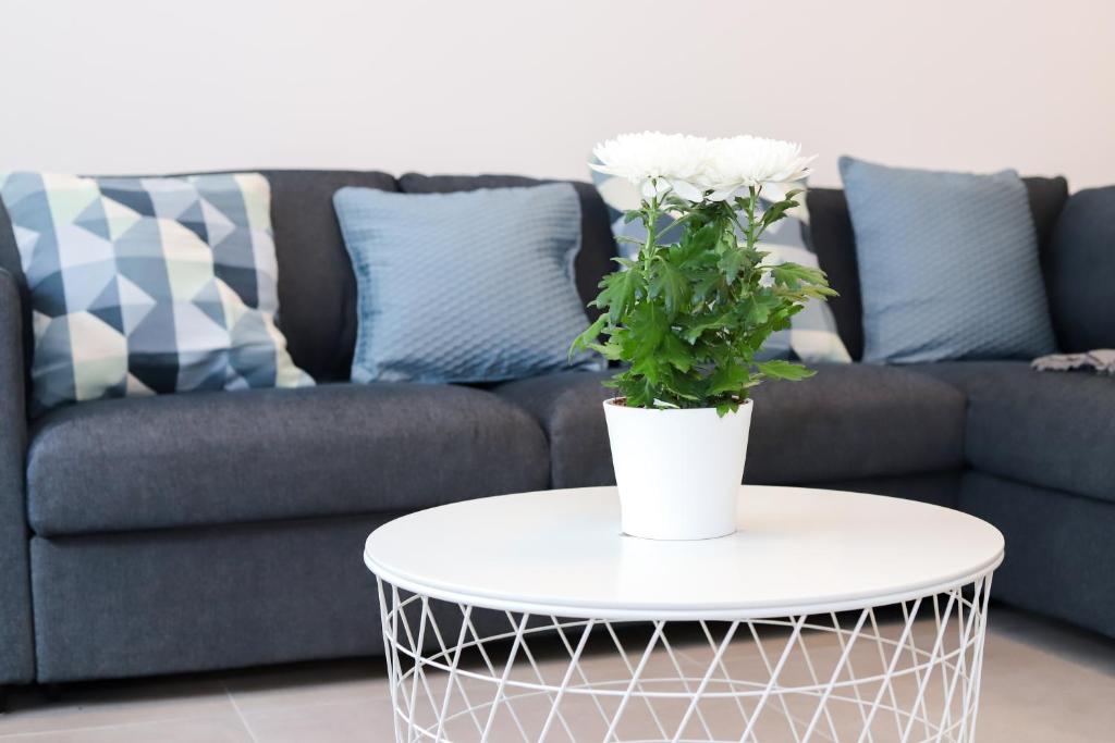Area soggiorno di high class flat