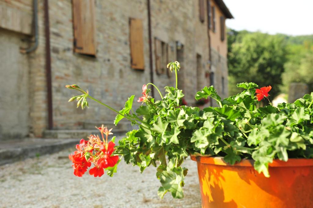 Vonkajšia záhrada v ubytovaní Agriturismo La Caputa