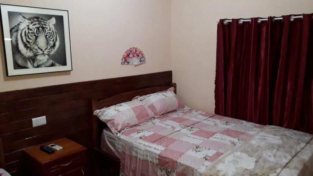 1 dormitorio con 1 cama y una foto de un tigre en La Mulata Apart en Puerto Iguazú