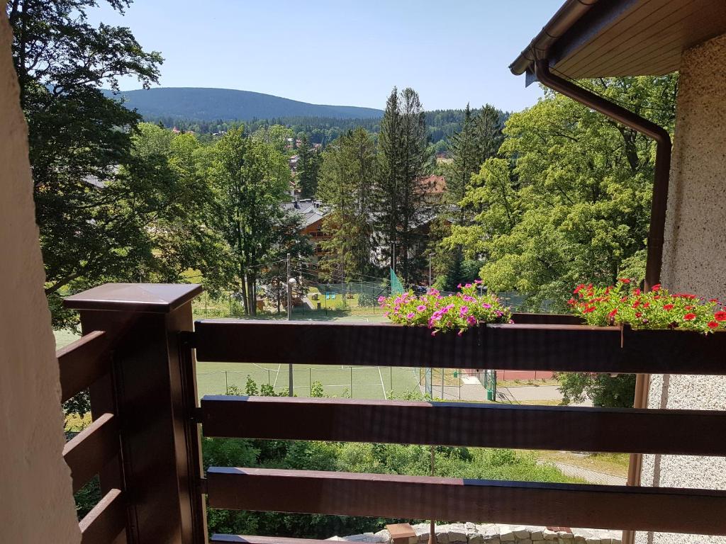 Výhľad na hory alebo výhľad na hory priamo z of the bed and breakfast
