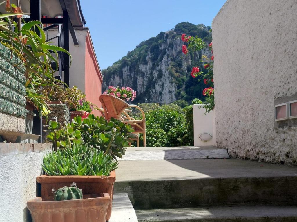 La Marocella Capri photo 3