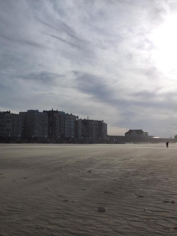 Hotel Monarc - Resim 41