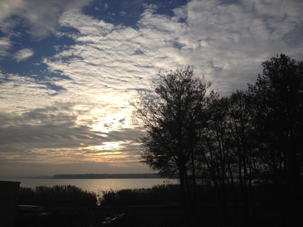 un cielo nublado con un árbol delante de un lago en Pokoje Gościnne en Mielno