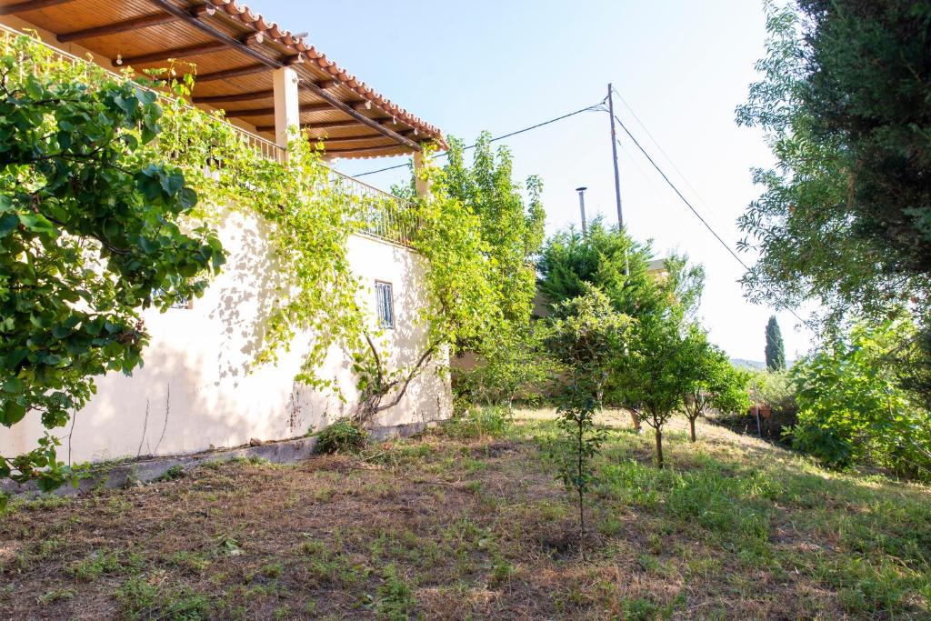 Vonkajšia záhrada v ubytovaní Villa with private garden