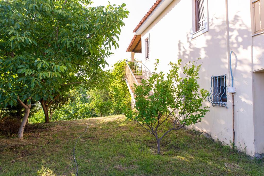 Vonkajšia záhrada v ubytovaní Villa with private garden