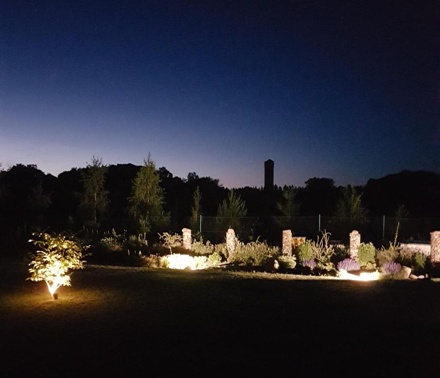 a garden at night with a water tower in the background at Scent yard in Marijampolė