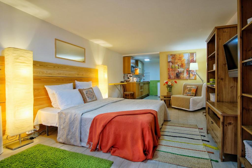 クラースナヤ・ポリャーナにあるСтудия "МАКИ"のベッドとテレビが備わるホテルルームです。