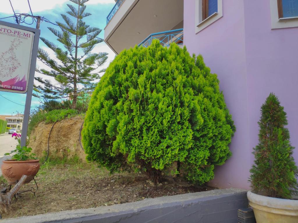 A garden outside Colourful apartments (Violet sky)