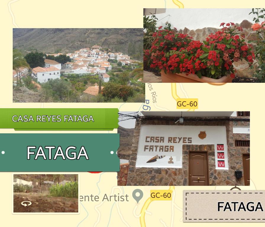 Fotografie z fotogalerie ubytování Casa Reyes Fataga v destinaci Fátaga