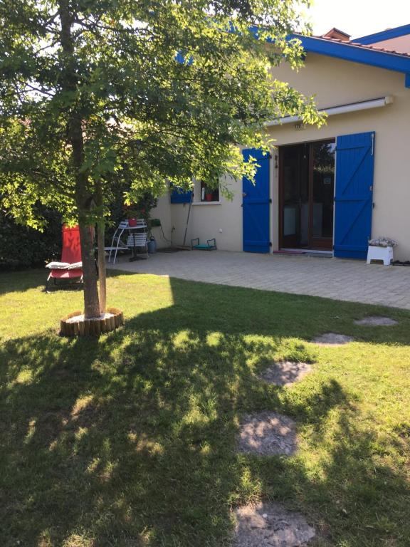 a tree in the yard of a house at Maison de vacances village Océlandes in Saint-Julien-en-Born