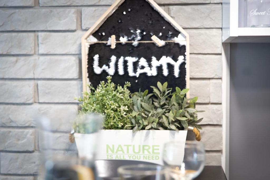 Apartament Asia - Appartement