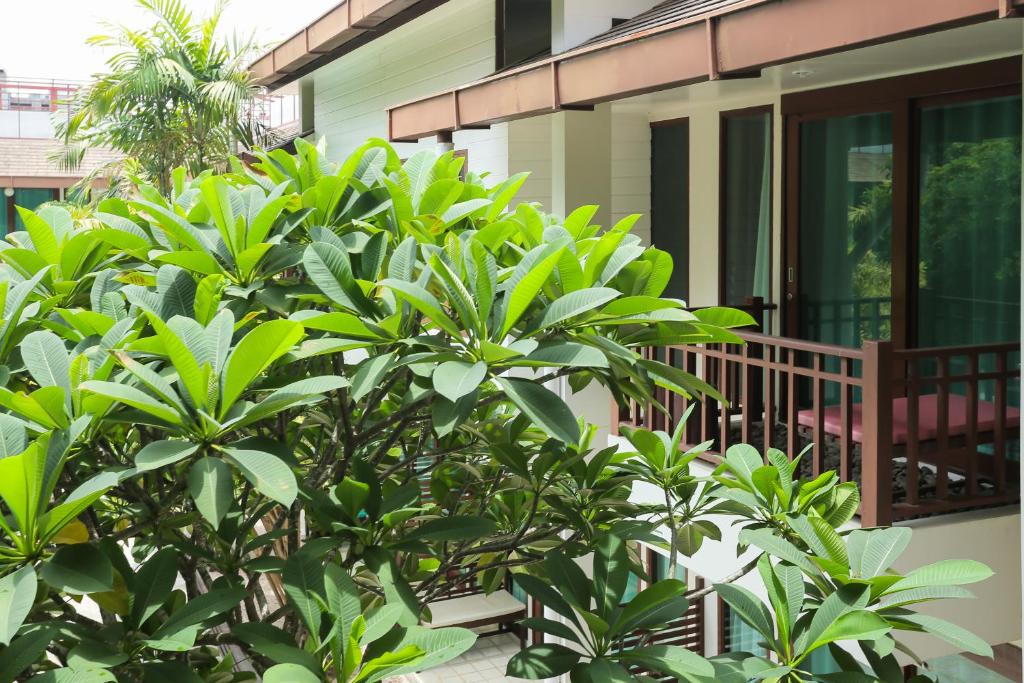 The Mantrini Chiang Rai - Resim 20