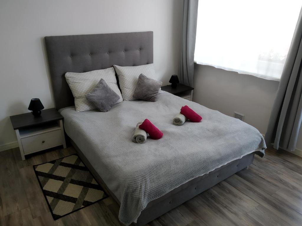 Dom Wypoczynkowy Willa Jar - 5