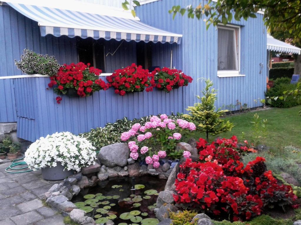un jardín con flores y un estanque frente a una casa azul en Kambarių nuoma ant marių kranto en Juodkrantė