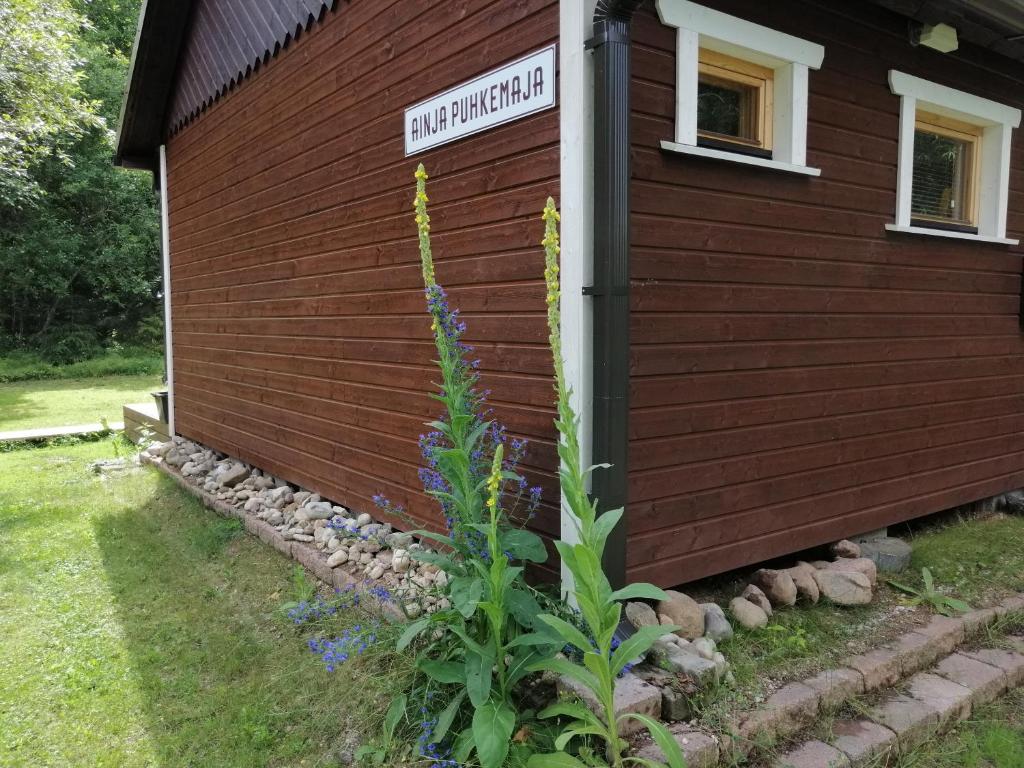 Zahrada ubytování Ainja Puhkemaja