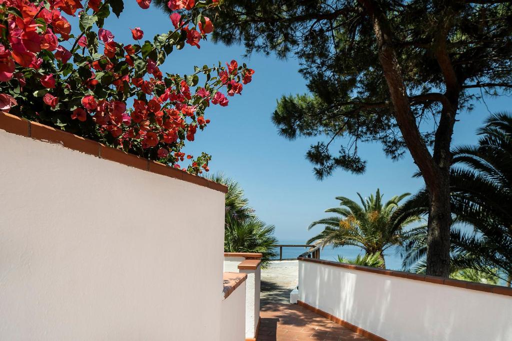 Balkón nebo terasa v ubytování Hotel Terme Royal Palm