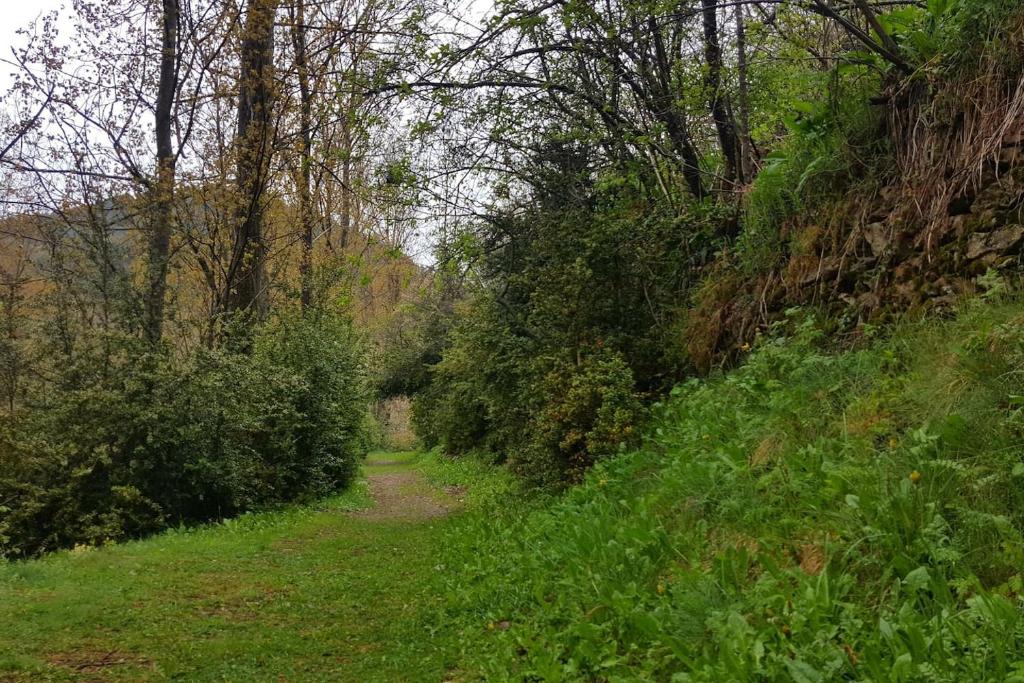 Příroda nedaleko apartmánu
