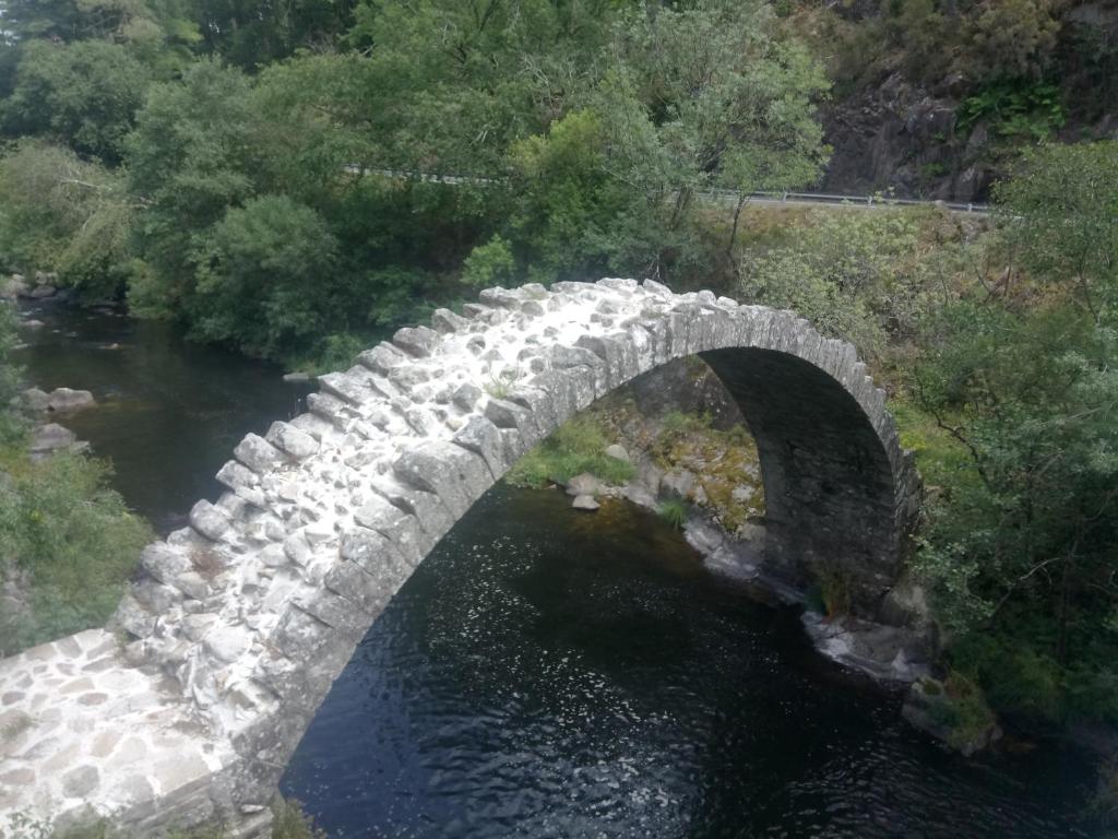 Príroda v okolí of the country house