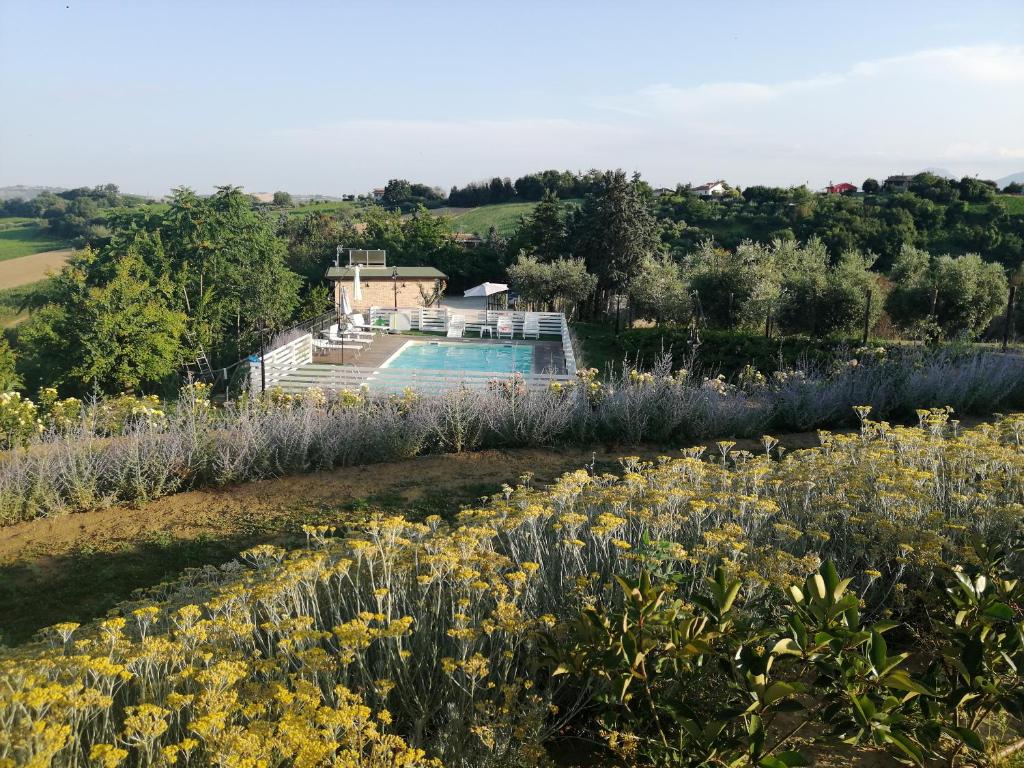 a garden with a swimming pool and a field of flowers at Il Gelso Country House in Castorano