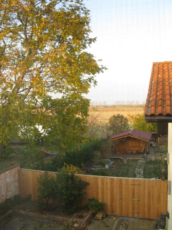 Zahrada ubytování Pension Köthen