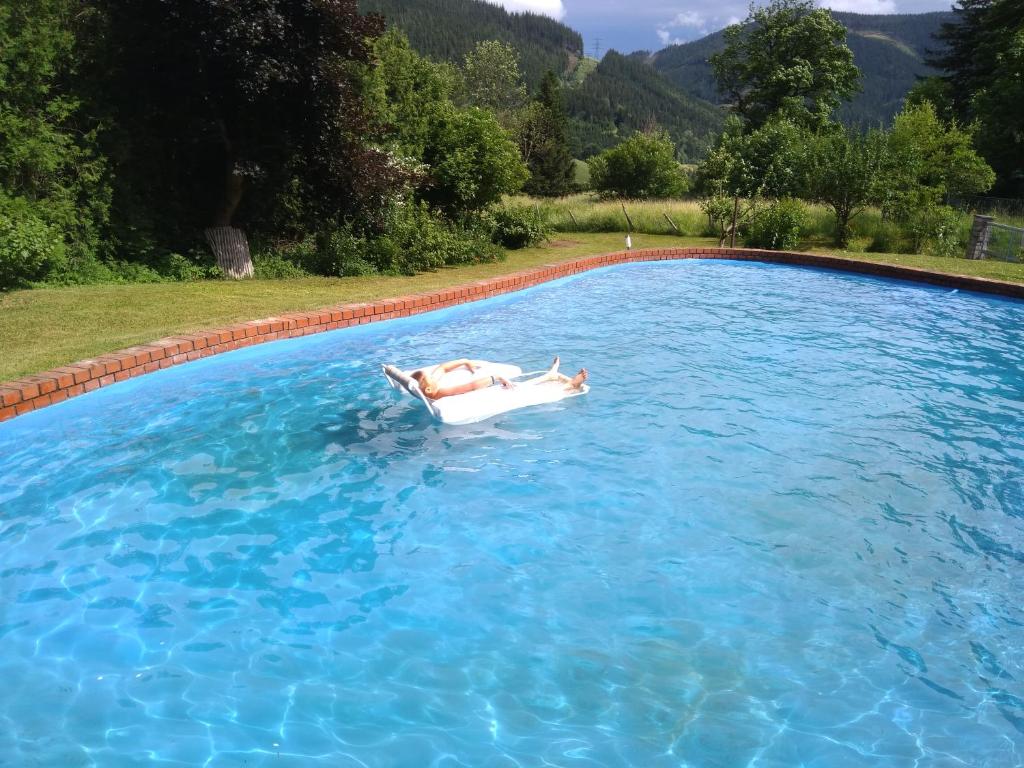 Bazén v ubytování Pool, Pokale, Sauna, Billard, Kirche u. viel Natur nebo v jeho okolí