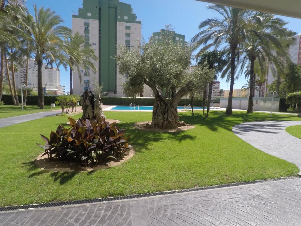 Bazén v ubytování Apartamento La Florida en Playa de Gandía nebo v jeho okolí