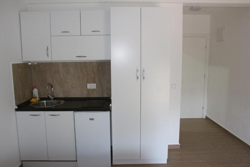 Kuchyň nebo kuchyňský kout v ubytování Zigovic Apartmani