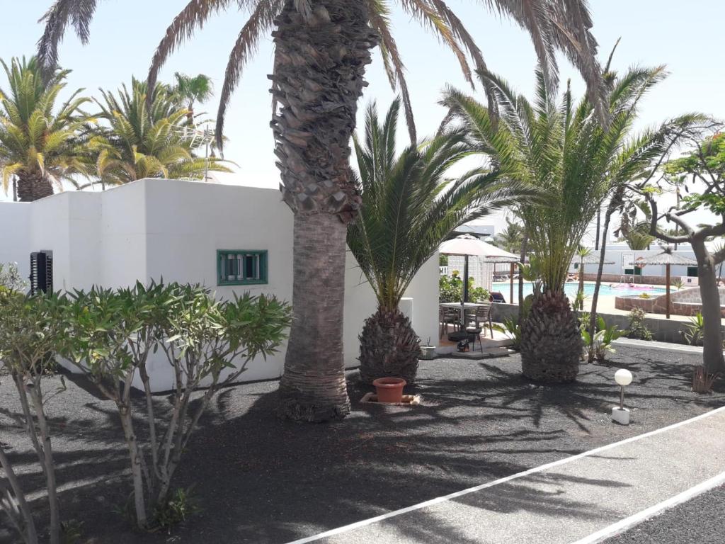 Fotografie z fotogalerie ubytování Bungalow DALAI - Pool view- Good wifi v destinaci Puerto del Carmen