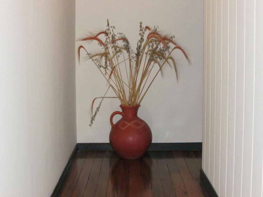 Fotografie z fotogalerie ubytování Casa Leon Guesthouse v San José