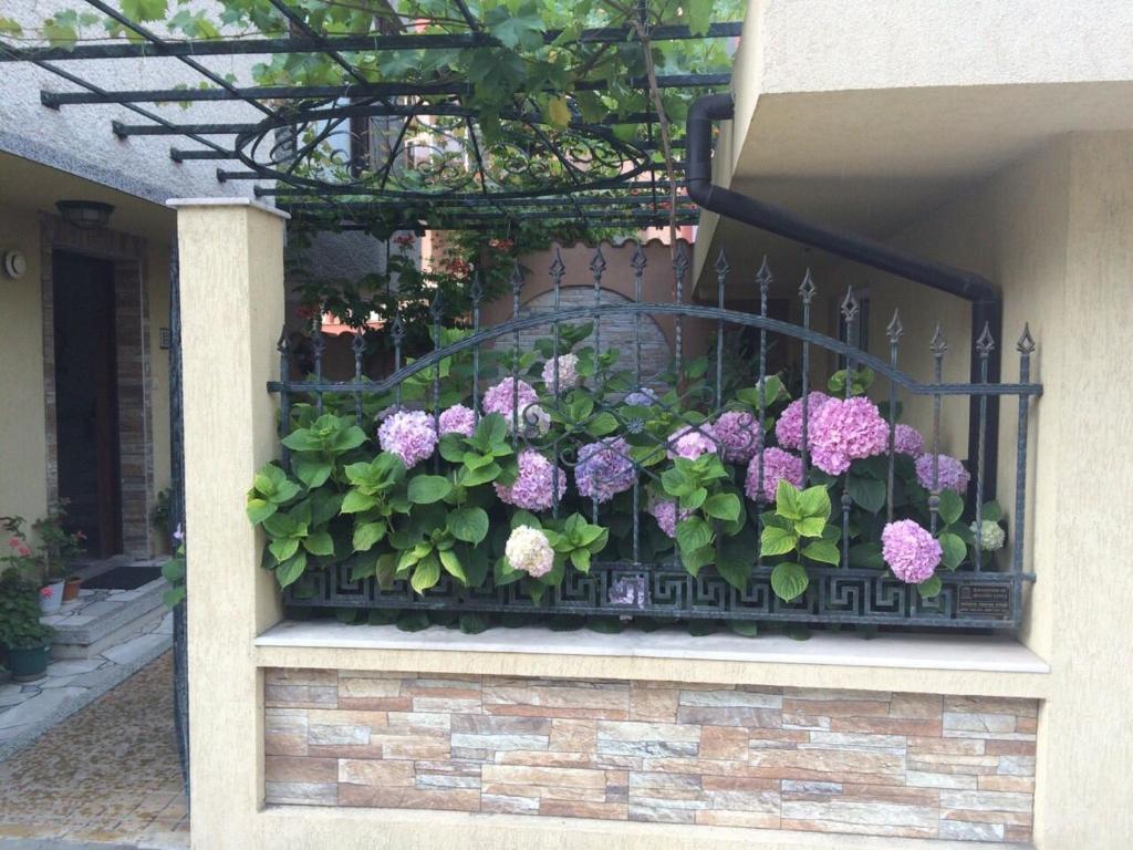 a flower box with purple and pink flowers on a building at Dom Shtakovi in Pomorie