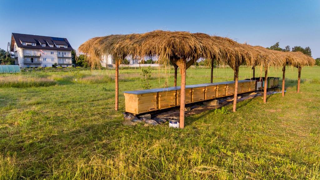 Vonkajšia záhrada v ubytovaní Agroturystyka Sikorki