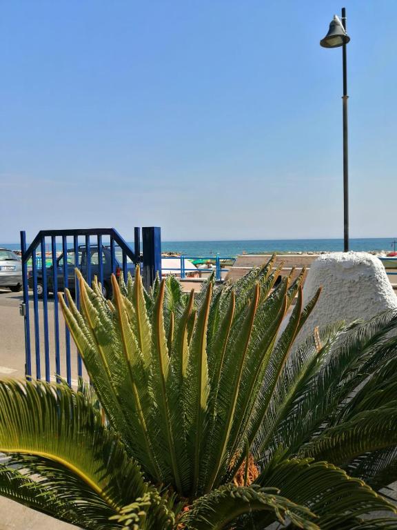 a palm tree in front of a beach with a street light at Monolocale Tirreno studio seafront in Formia