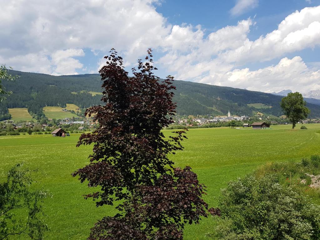 Príroda v okolí apartmánu
