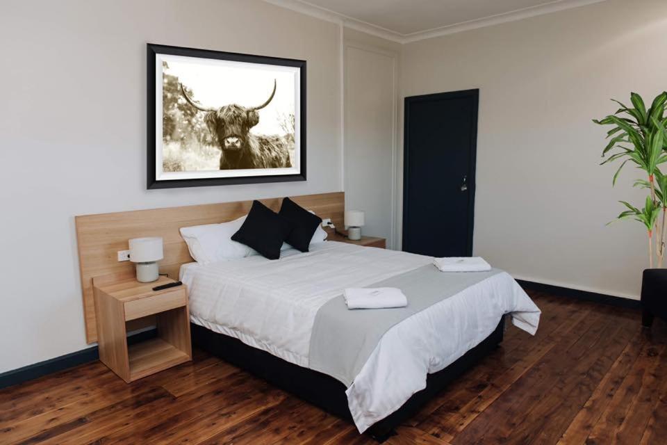 1 dormitorio con 1 cama con un toro en la pared en Gunnedah Hotel, en Gunnedah