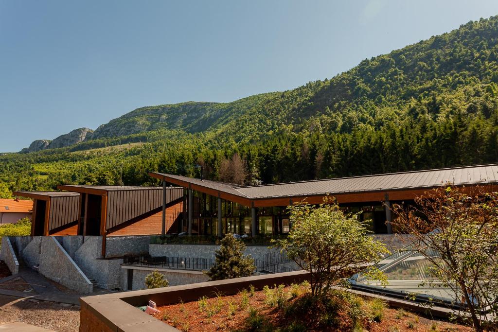 un grande edificio con una montagna sullo sfondo di Hotel Ramonda a Boljevac
